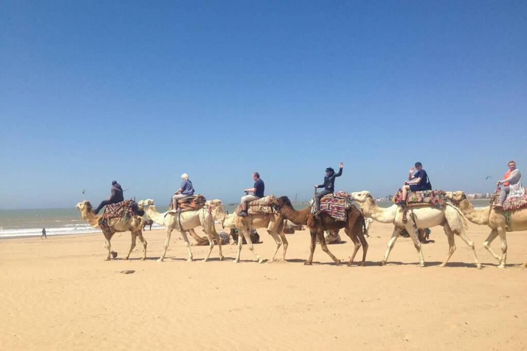 Darsal-Bwindi, Pour Tomber Amoureux D'Essaouira ! Villa Buitenkant foto